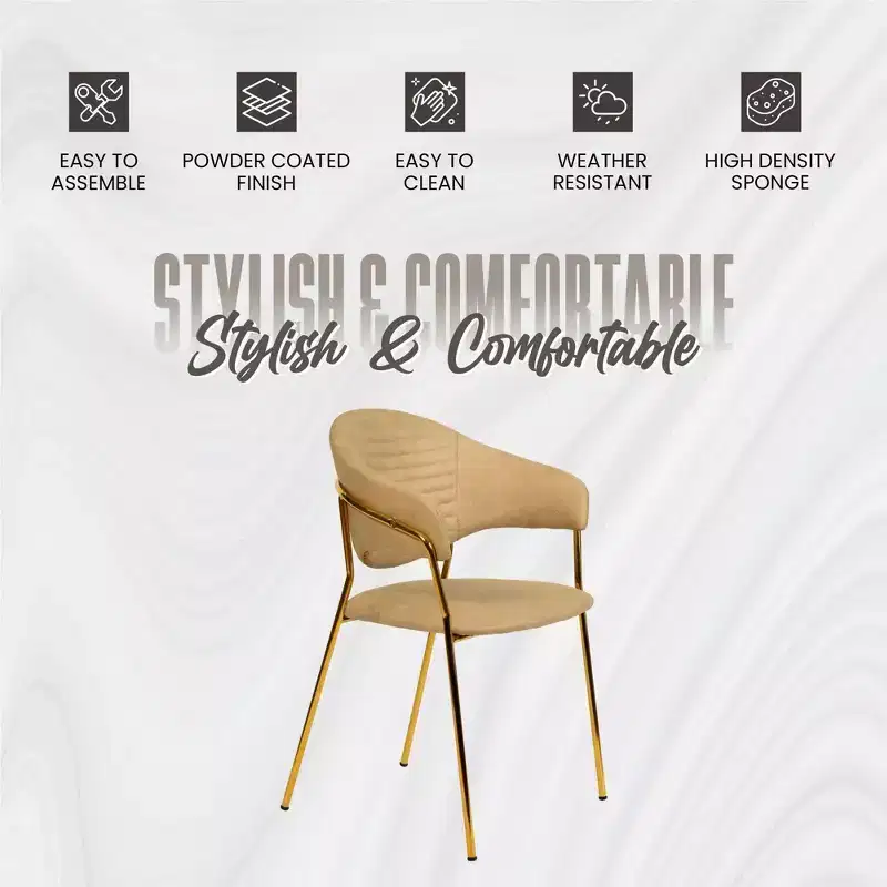 Upholstered Dining Chair Set of 2 Velvet Camelback Stainless Steel Legs 330 lbs