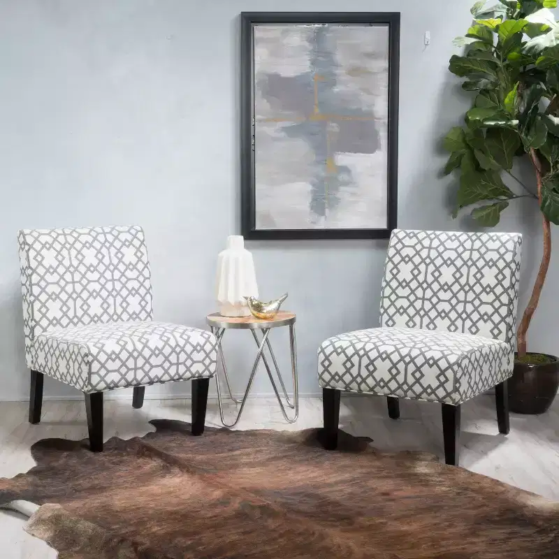 Set of 2 Kassi Accent Chair - Christopher Knight Home