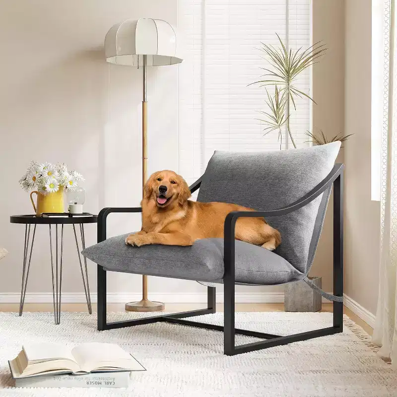Acekool Compact Lounge Chair - Versatile Single Seater with Cushion for Living Room, Study or Porch (Multiple Colors Available)