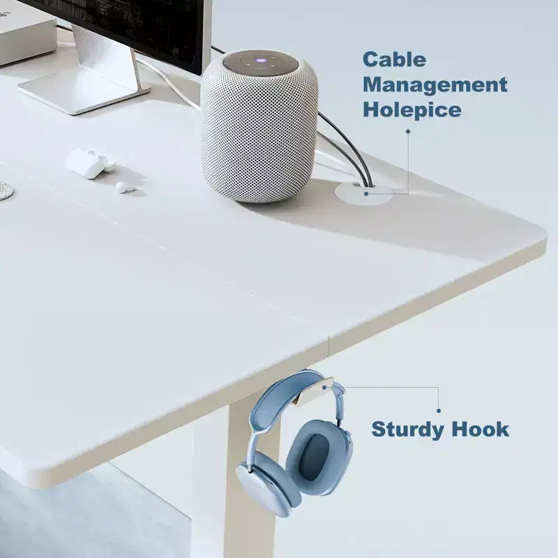 Sweetcrispy 55 Wide Height Adjustable Standing Desk