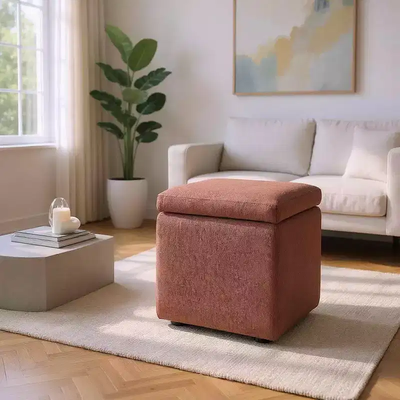 MAYEERTY Multi-Functional Storage Ottoman, Cushioned, Home Use