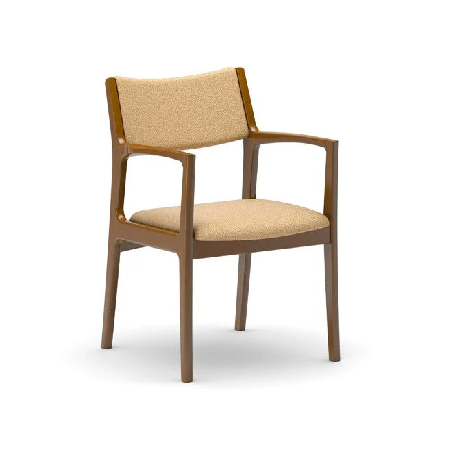 Dining Chair(Multiple colors are available for you to choose from.)