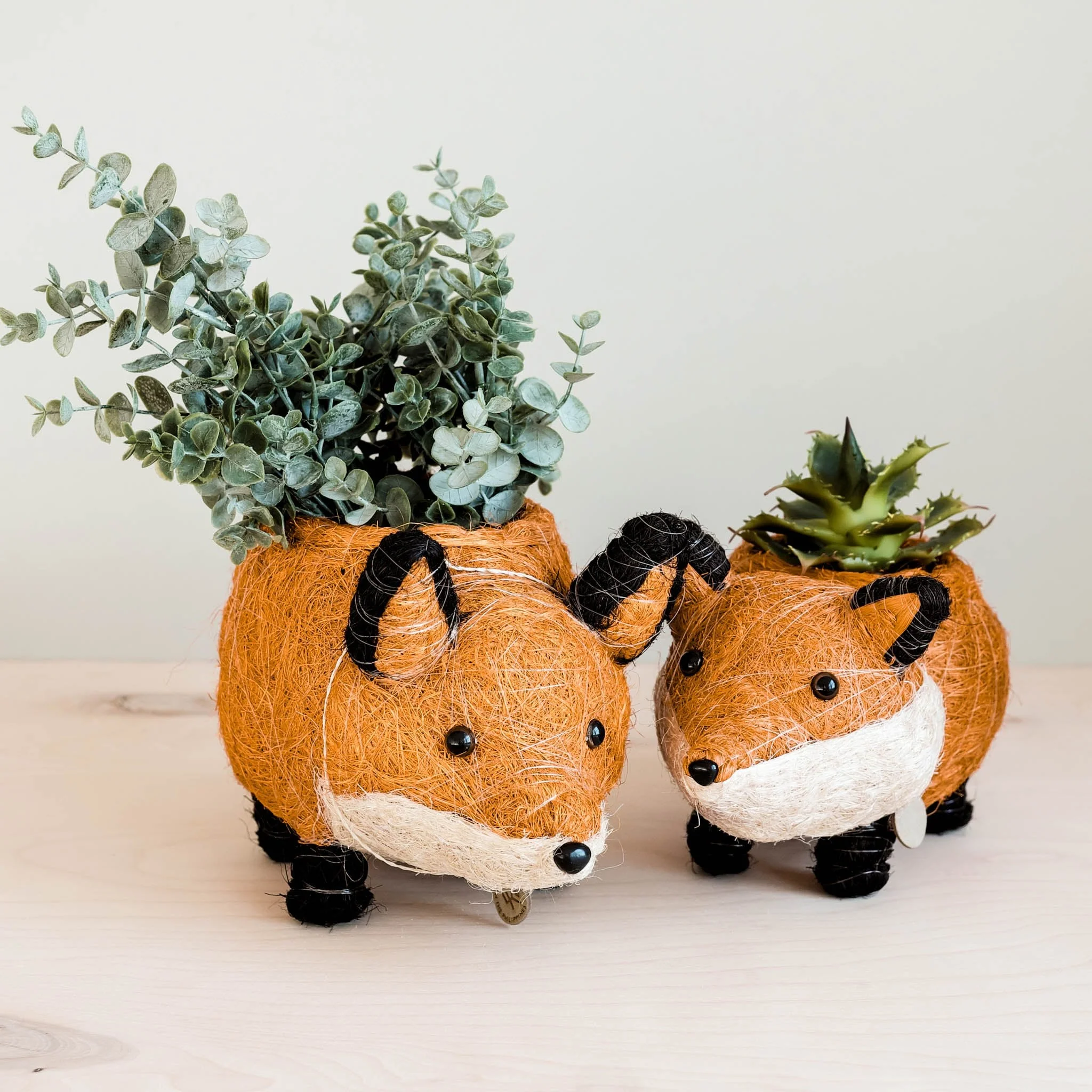 Fox Planter - Coir Planters