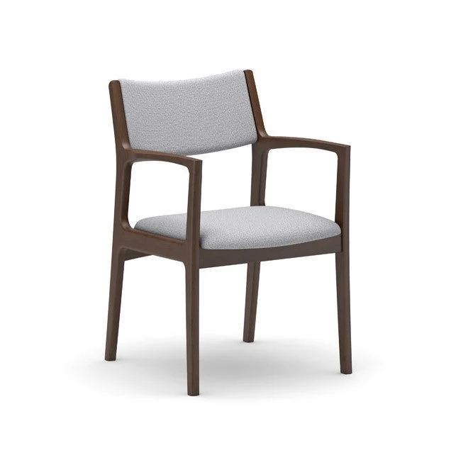 Dining Chair(Multiple colors are available for you to choose from.)
