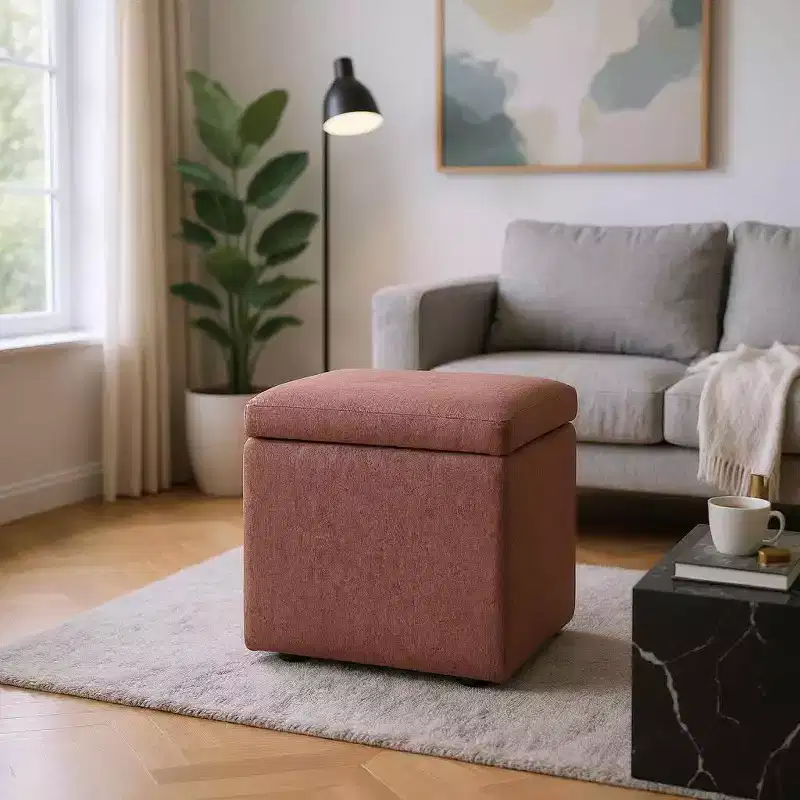 MAYEERTY Multi-Functional Storage Ottoman, Cushioned, Home Use