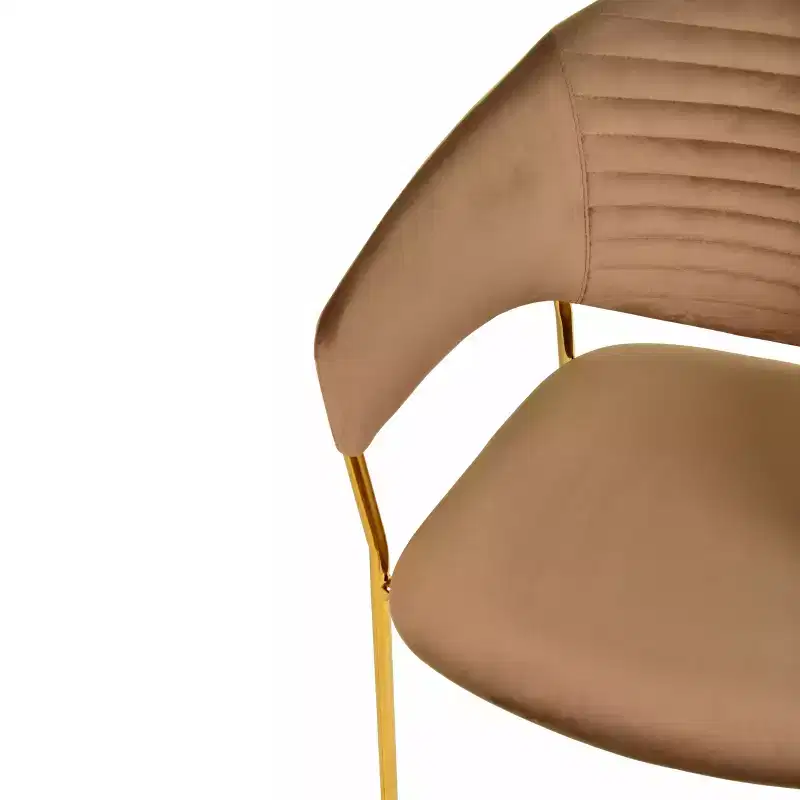 Upholstered Dining Chair Set of 2 Velvet Camelback Stainless Steel Legs 330 lbs