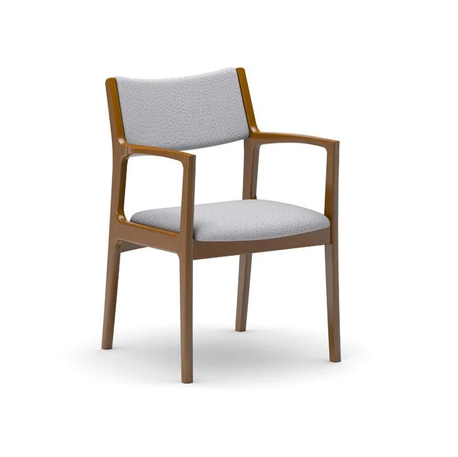 Dining Chair(Multiple colors are available for you to choose from.)