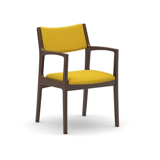 Dining Chair(Multiple colors are available for you to choose from.)