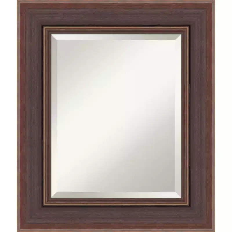 Beveled Framed Bathroom Vanity Wall Mirror