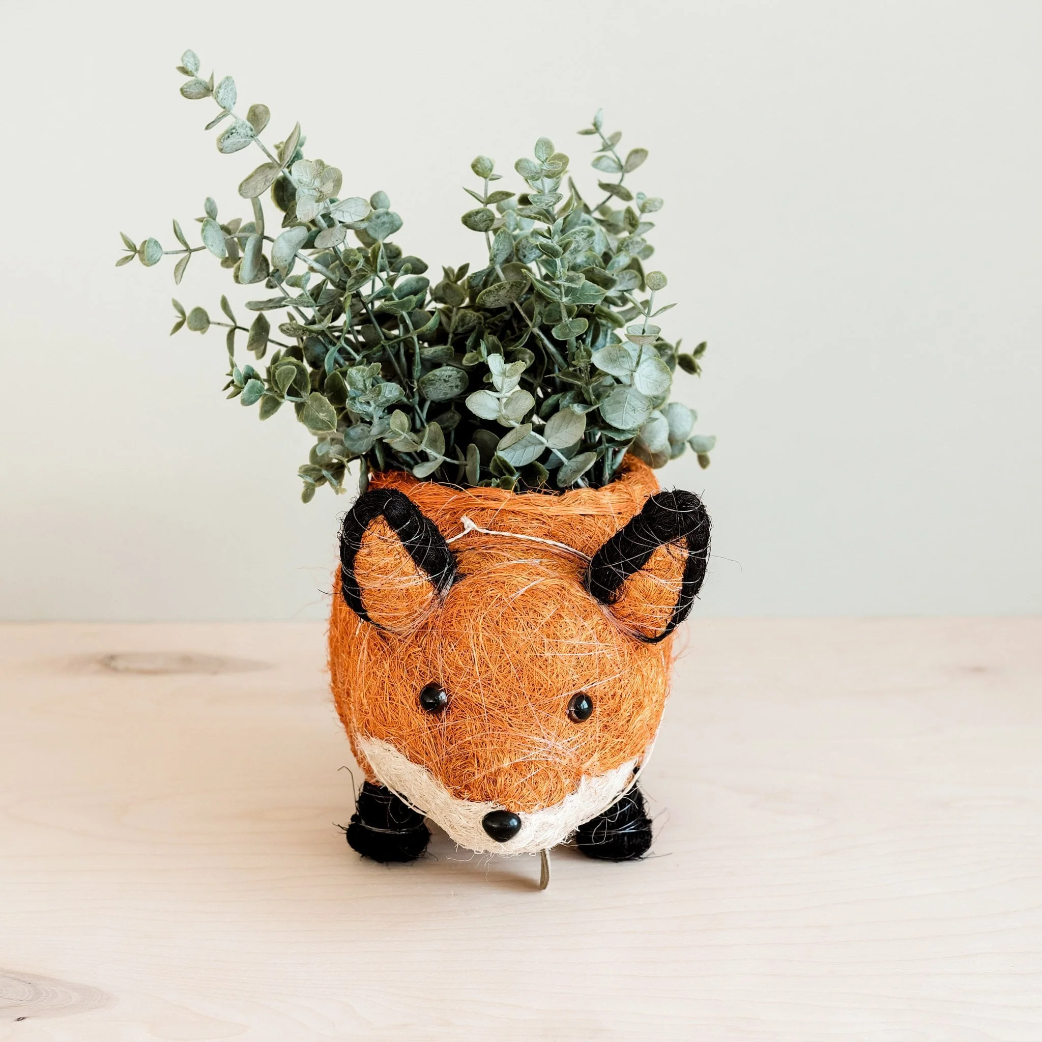 Fox Planter - Coir Planters