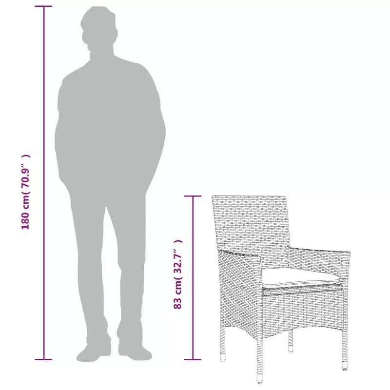 vidaXL Patio Chairs with Cushions 2 pcs Poly Rattan