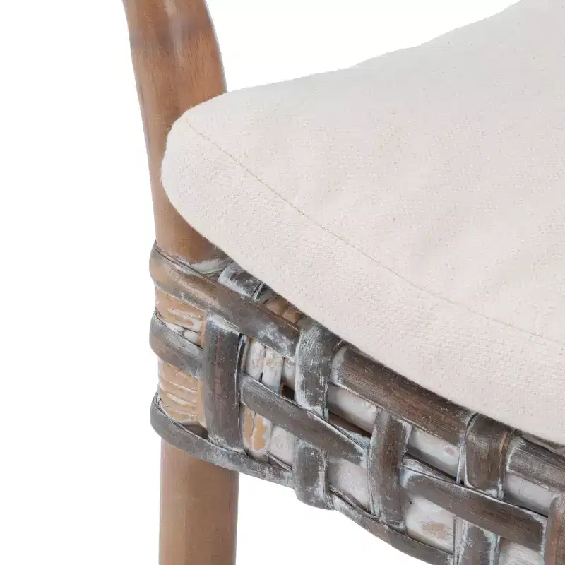 Collette Rattn Accent Chair W/ Cushion - ACH6515 - Safavieh