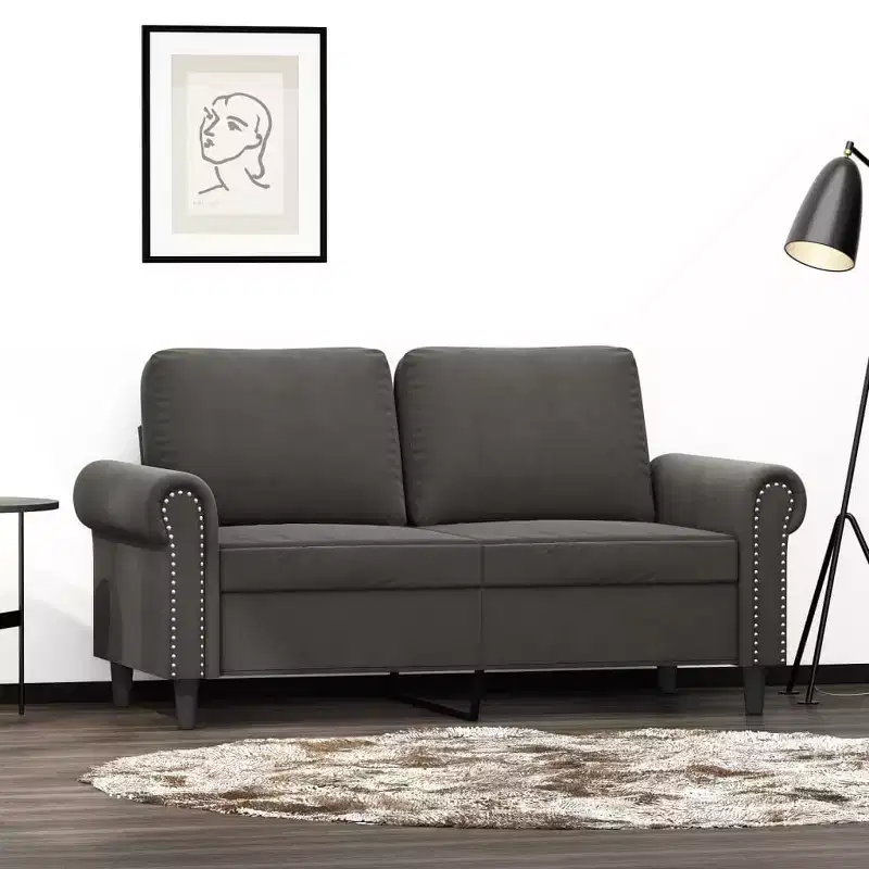 Modern 2-Seater Sofa in Luxurious Dark Gray Velvet with Sturdy Metal and Plywood Frame Comfortable, Stylish, and Easy-to-Assemble.