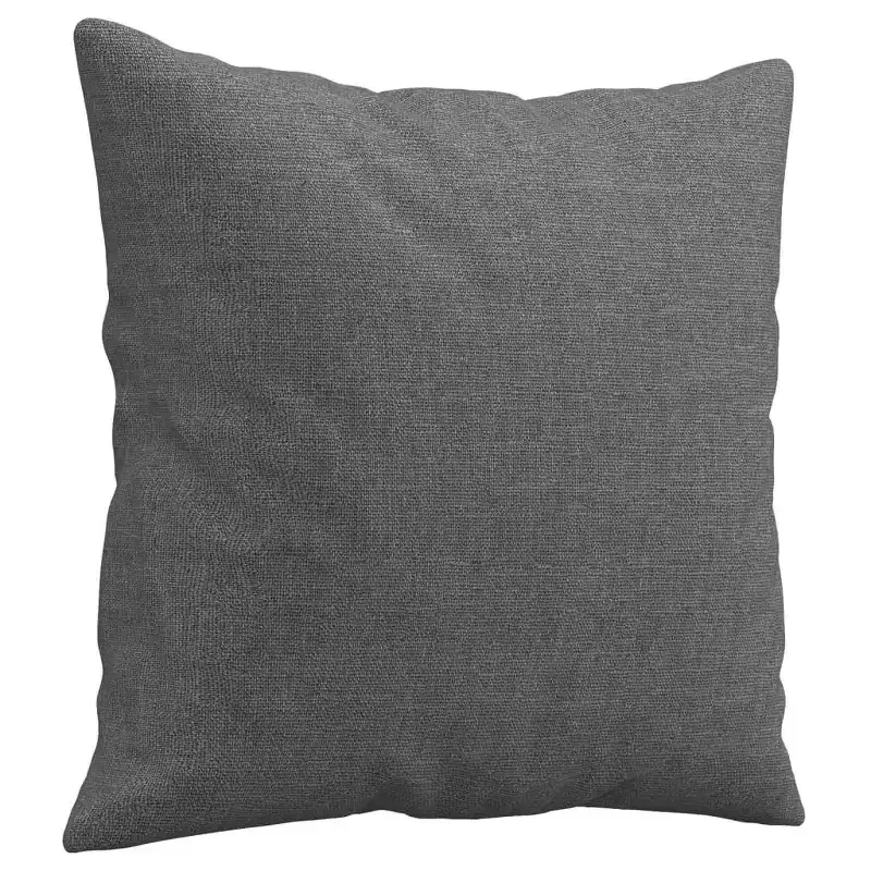 vidaXL 2-Seater Fabric Sofa with Throw Pillows-Dark Gray, Stylish Metal Frame