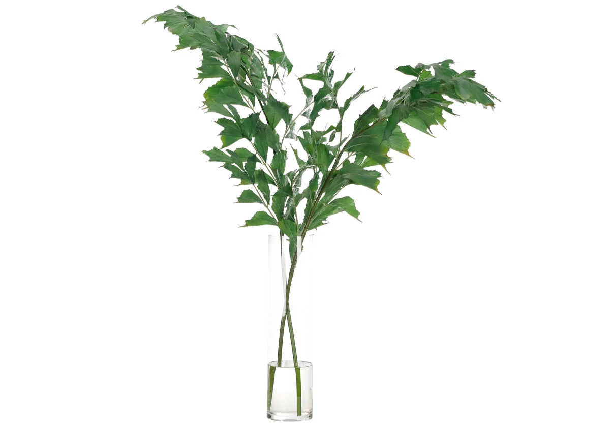 Tropical Synthetic Fishtail Palm with Clear Glass Cylinder Vase for Living Room & Balcony