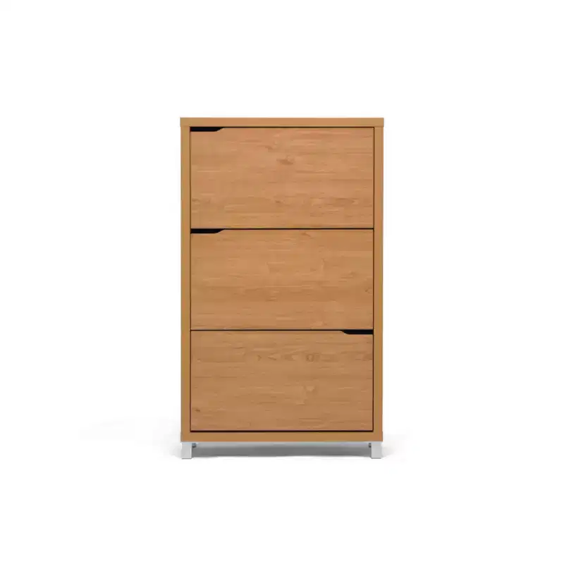 Simms Modern Shoe Cabinet - Baxton Studio