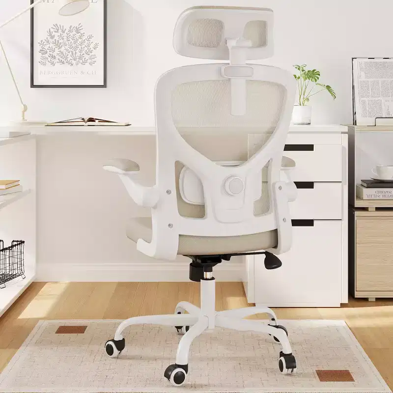 Ergonomic Home Office Chair - With Lumbar Support, Flip-Up Armrests & Headrest for Work & Study (Black)