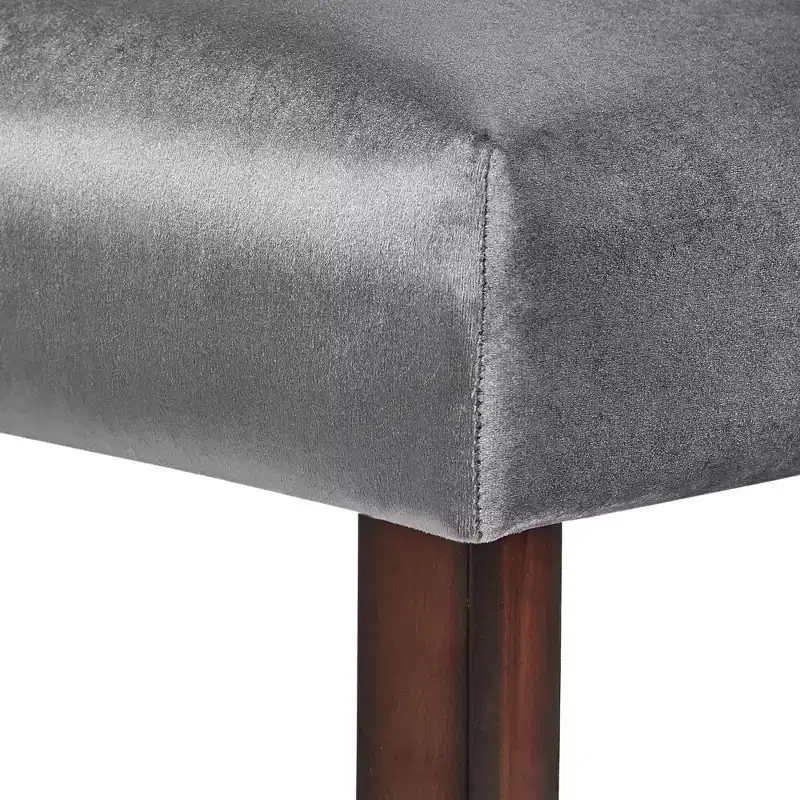 Quinby Parsons Dining Chairs (Set of 2) - iNSPIREQ