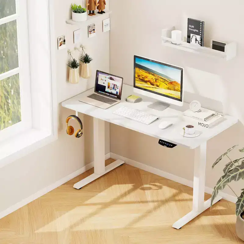 Costway Electric Adjustable Standing Desk Stand Up Workstation Dual Motor w/ Controller