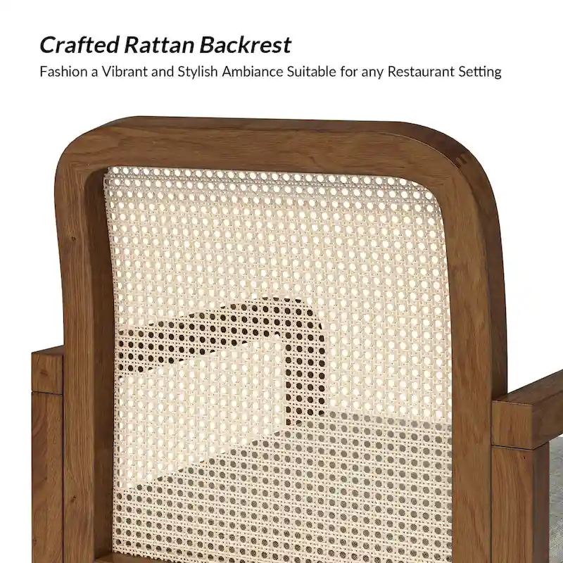 Antoine Modern Ratten Back Dining Chair with Removable Cushion Set of 6 by HULALA HOME