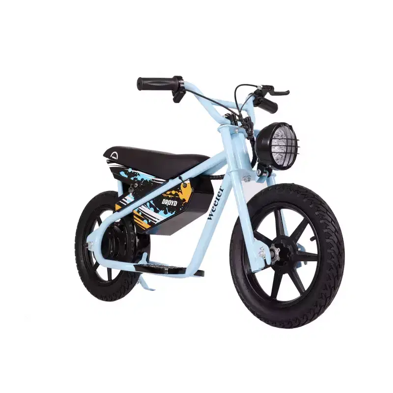 Droyd Kids' Weeler 14 Step Over Mini Electric Bike