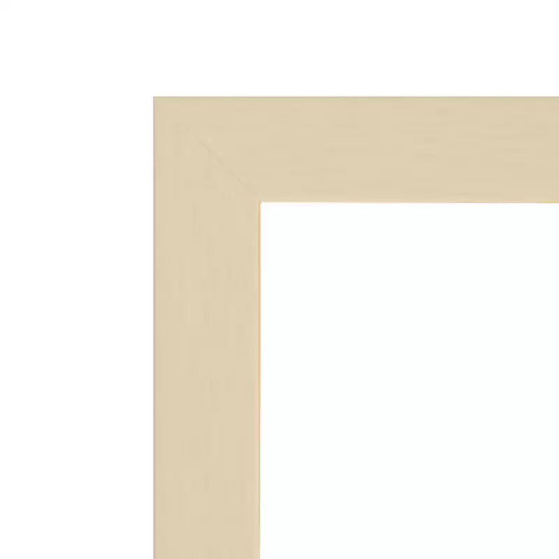 Amant Art Svelte Non-Beveled Wood Framed Wall Mirror