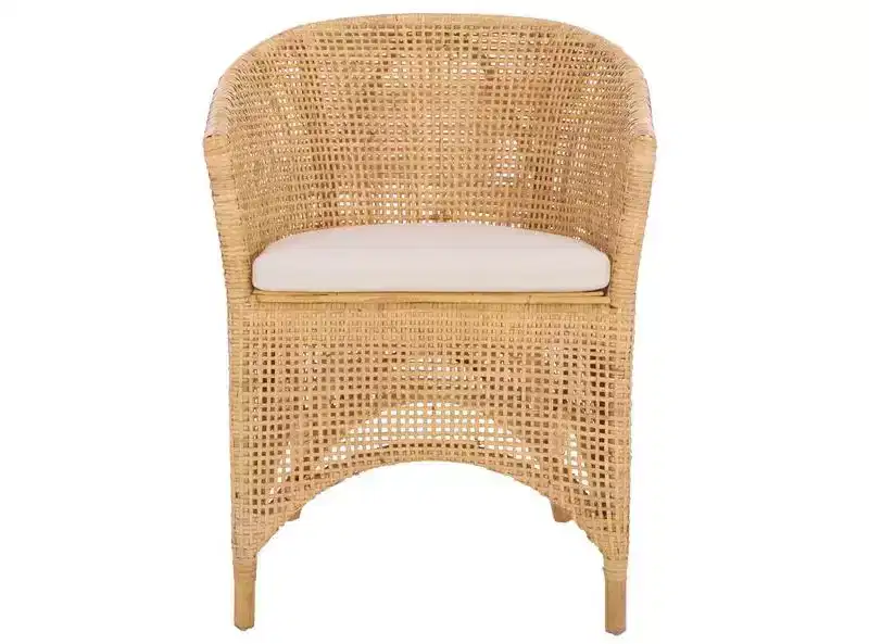 Taina Accent Chair - ACH6534 - Natural/White - Safavieh