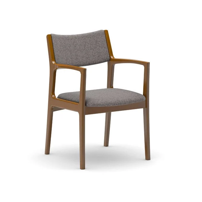 Dining Chair(Multiple colors are available for you to choose from.)
