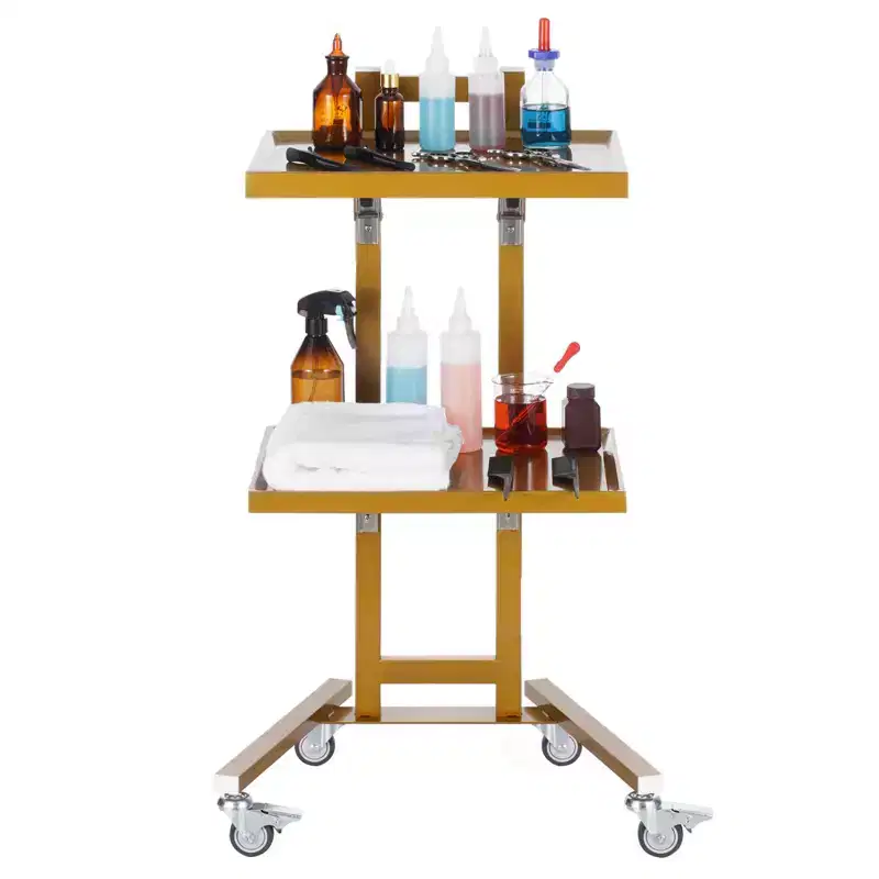 2 Tiers Stainless Steel Lab Carts, Lab Utility Cart with 2 Trays, Mobile Medical Cart with 4 Silent Wheels, Lab Rolling Cart