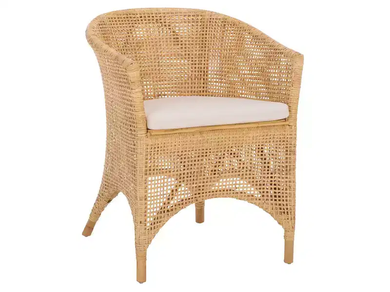 Taina Accent Chair - ACH6534 - Natural/White - Safavieh
