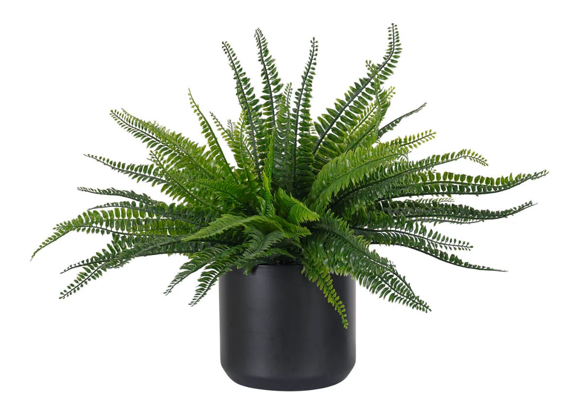 Botanical Synthetic Fern Plant with Ceramic Pot for Living Room & Study