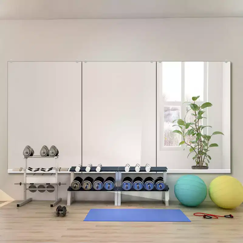 Dovelina Rectangular Gym Mirror Decorative Wall Mirror Large Wall Mirror - 47x32