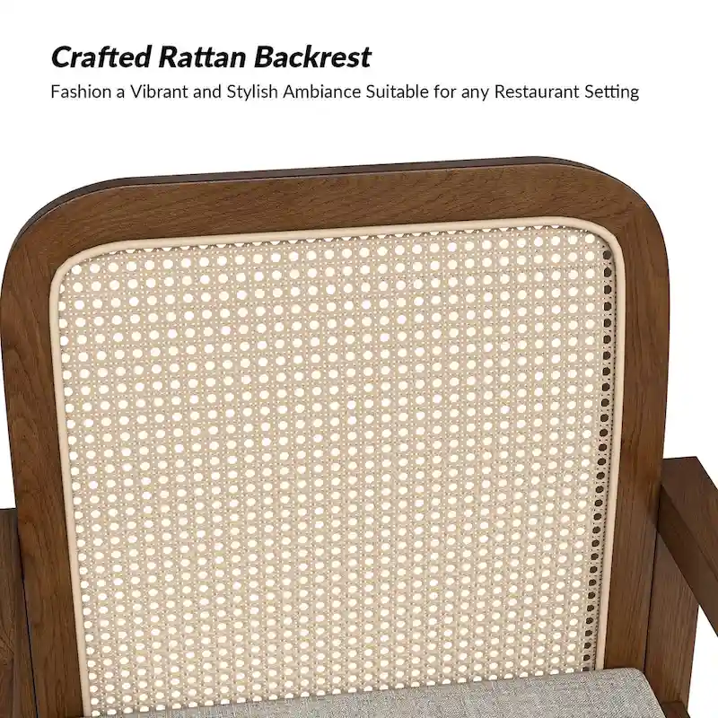 Antoine Modern Ratten Back Dining Chair with Removable Cushion by HULALA HOME