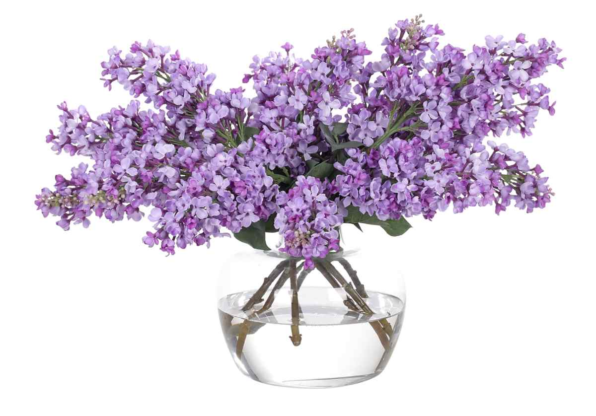 Romantic Glass Purple Lilac Stems with Clear Glass Vase for Dining Room & Bedroom