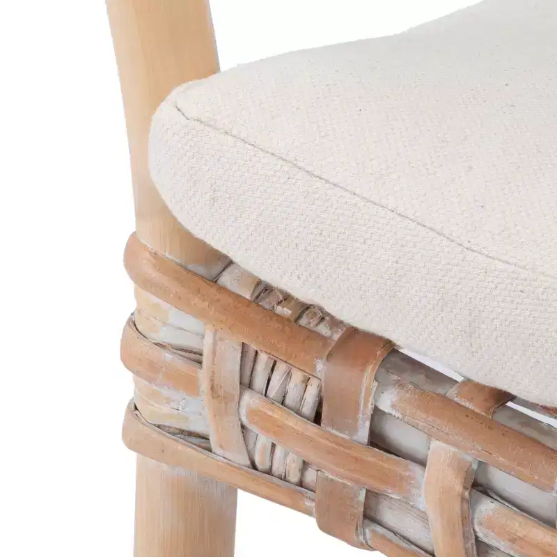 Collette Rattn Accent Chair W/ Cushion - ACH6515 - Safavieh