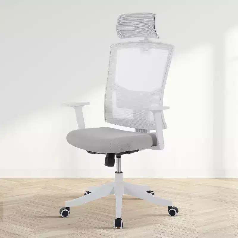 Office Chair, Desk Chair with Adjustable Chairs for