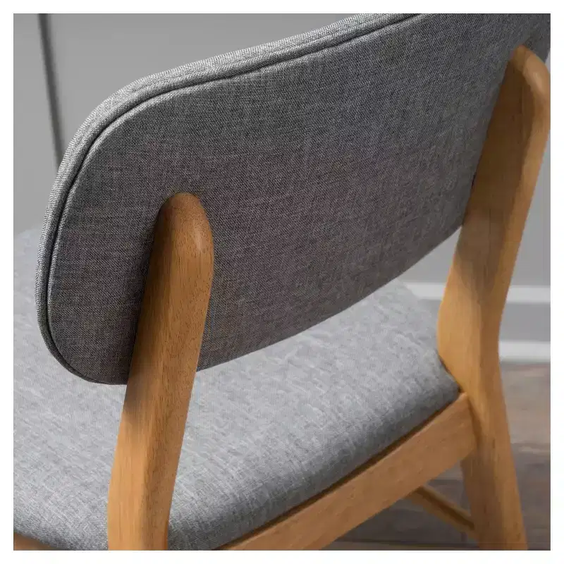 Set of 2 Colette Dining Chairs - Christopher Knight Home