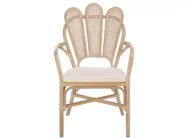 Maki Arm Chair - ACH4904 - White Washed/Ivory - Safavieh