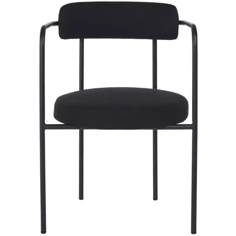 Andrean Dining Arm Chair (Set of 2) - DCH3901 - Safavieh