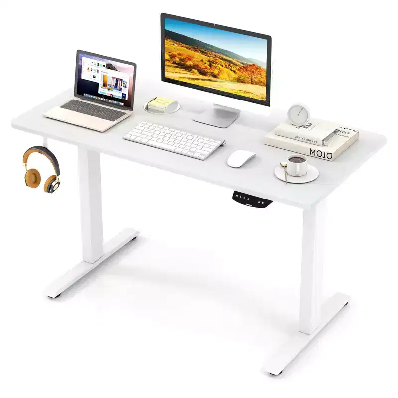 Costway Electric Adjustable Standing Desk Stand Up Workstation Dual Motor w/ Controller