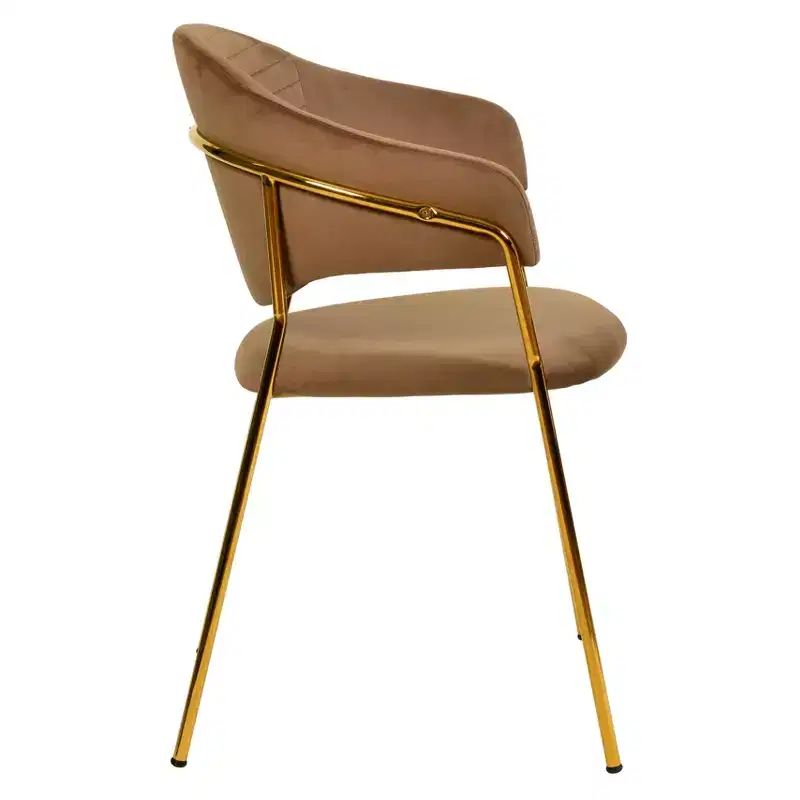 Upholstered Dining Chair Set of 2 Velvet Camelback Stainless Steel Legs 330 lbs