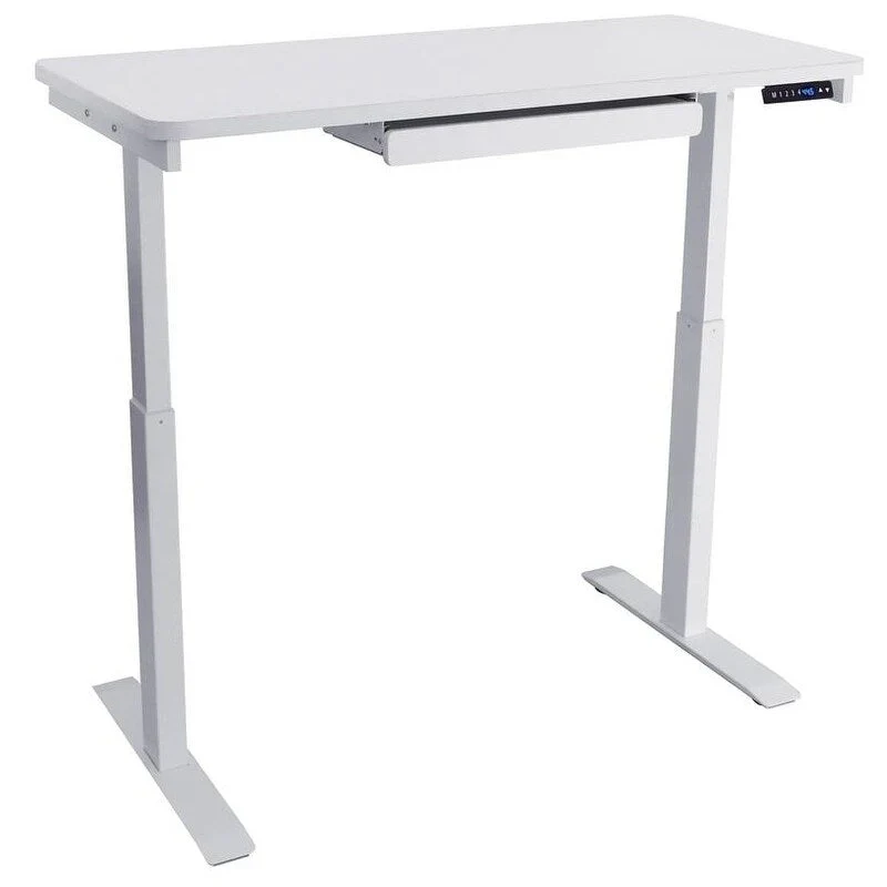 White / Graphite / Walnut / Black Electric Standing Desk, Single Person, 48
