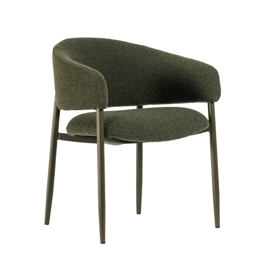 Green Steel Dining Chair with Powder Coated Legs for Dining Room
