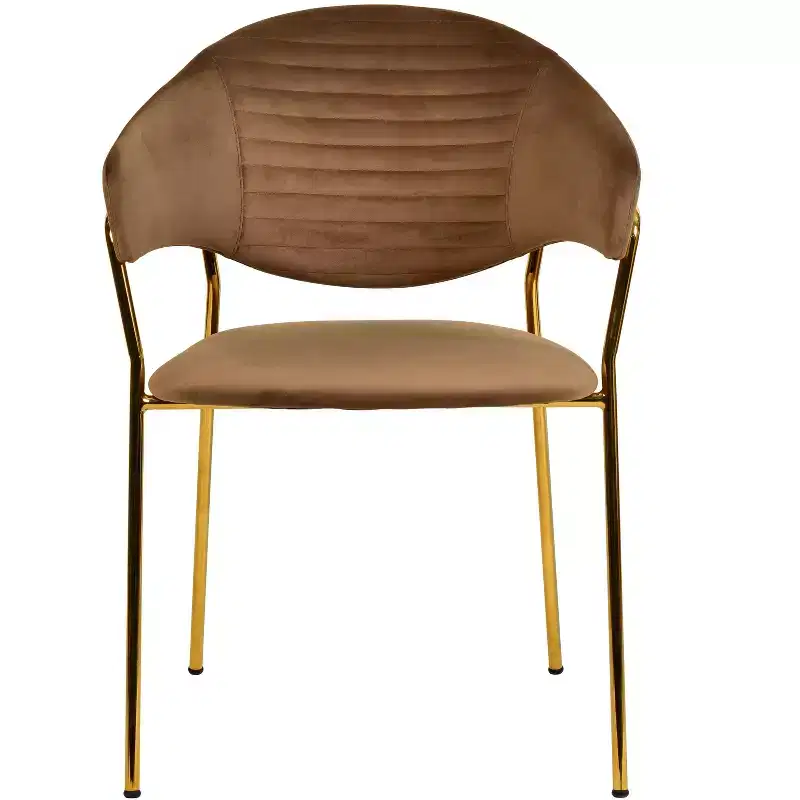 Upholstered Dining Chair Set of 2 Velvet Camelback Stainless Steel Legs 330 lbs