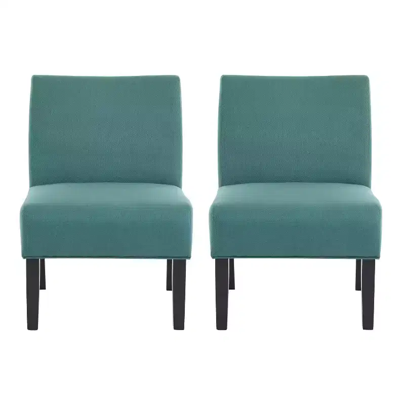 Set of 2 Kassi Accent Chair - Christopher Knight Home
