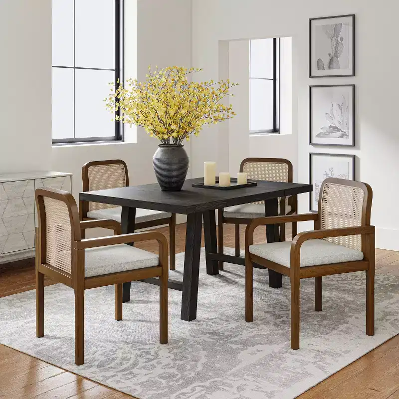 Hieromymus Modern Ratten Dining Chair with Removable Cushion Set of 2|HULALA HOME