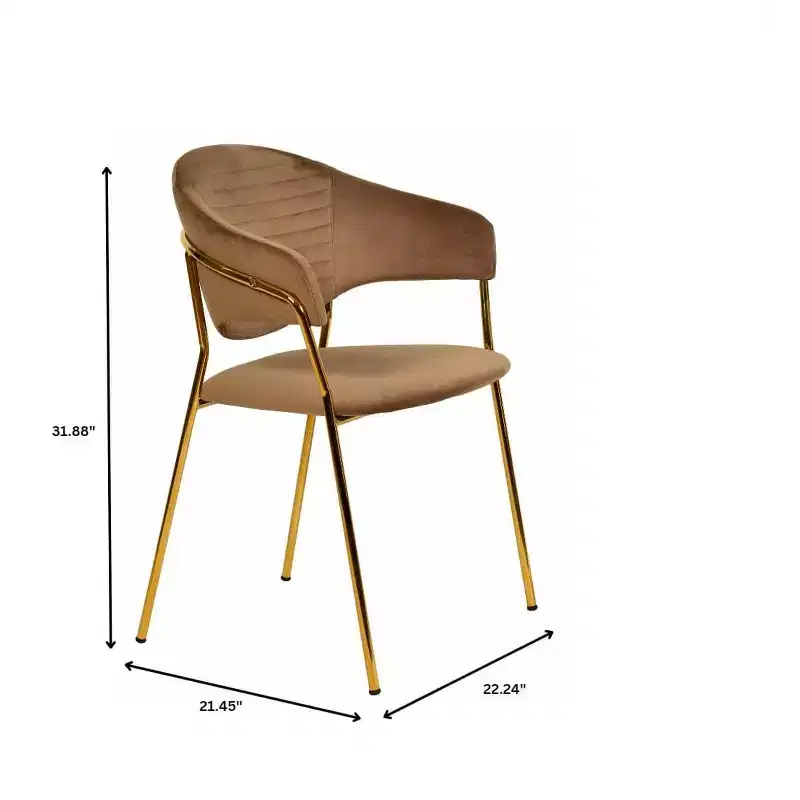 Upholstered Dining Chair Set of 2 Velvet Camelback Stainless Steel Legs 330 lbs