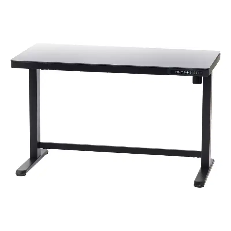 IRIS USA Electric Standing Desk Height Adjustable with USB Port