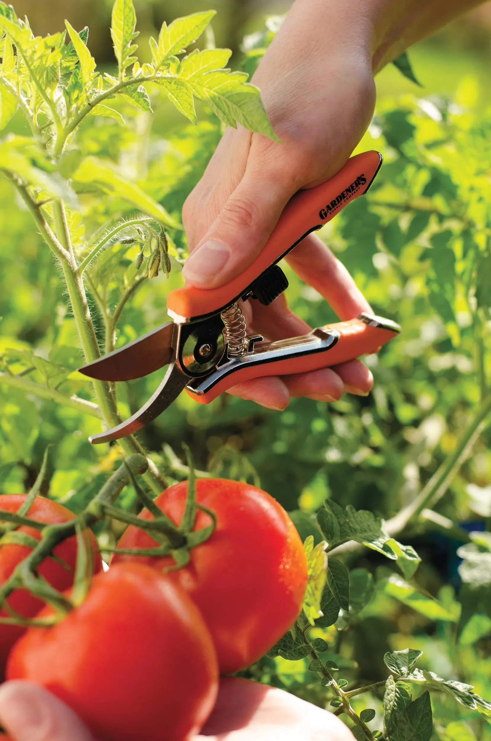 Orange Ergonomic Pocket Pruners Compact Sharp Precision Garden Shears