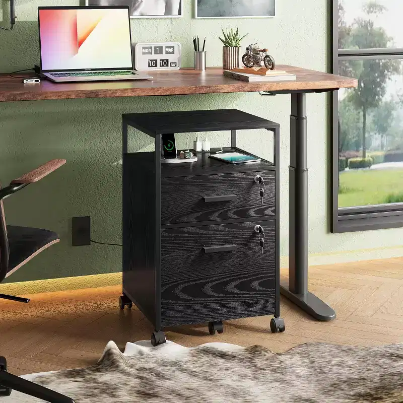 2 Drawer File Cabinet, Mobile Printer Stand with Open Storage Shelf, Wood Filing Cabinet fits A4 or Letter Size for Home Office